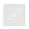 Auraton Pictor DS  - regulator z czujnikiem